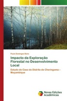 Paulo Domingos Bene - Impacto da Exploração Florestal no Desenvolvimento Local