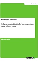 Hailemelekot Haileslassie - Enhancement of flat flabs' shear resistance using gabion mesh