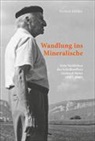 Richard Kölliker, Heini Stucki - Wandlung ins Mineralische