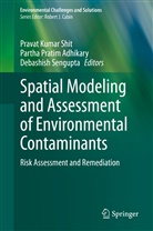Partha Pratim Adhikary, Parth Pratim Adhikary, Partha Pratim Adhikary, Debashish Sengupta, Pravat Kumar Shit - Spatial Modeling and Assessment of Environmental Contaminants