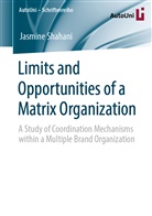 Jasmine Shahani - Limits and Opportunities of a Matrix Organization