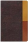 B&amp;h Español Editorial - Rvr 1960 Biblia de Estudio Arcoiris, Cocoa/ Terracota Símil Piel Con Índice