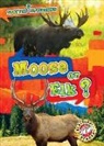 Kirsten Chang - Moose or Elk?
