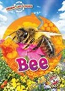 Rebecca Sabelko - Animal Life Cycles: Bee