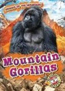 Kaitlyn Duling - Mountain Gorillas