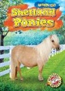 Rachel Grack - Shetland Ponies