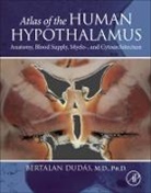 Bertalan Dudas, Bertalan (Assistant Dean of Research and Scholarship Dudas, Dudas Bertalan - Atlas of the Human Hypothalamus