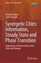 Herman Haken, Hermann Haken, Juval Portugali - Synergetic Cities: Information, Steady State and Phase Transition