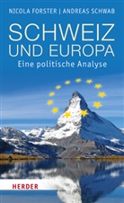 Nicola Forster, Andreas Schwab - Schweiz und Europa