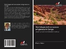 Dhanis Rukan - Morfologia dell'estrazione artigianale in Congo.