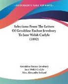 Jane Welsh Carlyle, Geraldine Endsor Jewsbury, Alexander Ireland - Selections From The Letters Of Geraldine Endsor Jewsbury To Jane Welsh Carlyle (1892)