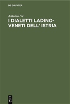 Antonio Ive - I dialetti Ladino-Veneti dell' Istria