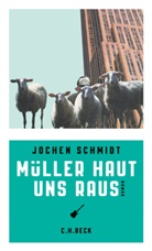 Jochen Schmidt - Müller haut uns raus