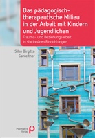 Silke Birgitta Gahleitner, Silke Birgitta (Prof. Dr.) Gahleitner - Das pädagogisch-therapeutische Milieu in der Arbeit mit Kindern und Jugendlichen