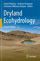Paolo D'Odorico, Amilcar Porporato, Amilcare Porporato, Christiane Wilkinson Runyan - Dryland Ecohydrology