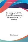 Peter Cameron - A Monograph Of The British Phytophagous Hymenoptera V2 (1885)