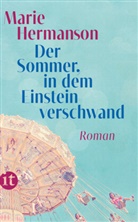 Marie Hermanson - Der Sommer, in dem Einstein verschwand