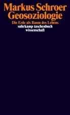Markus Schroer - Geosoziologie