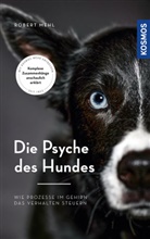 Robert Mehl - Die Psyche des Hundes