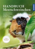 Christine Wilde - Handbuch Meerschweinchen