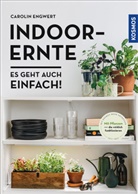 Carolin Engwert - Indoor-Ernte