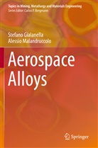 Stefan Gialanella, Stefano Gialanella, Alessio Malandruccolo - Aerospace Alloys