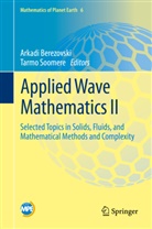 Arkad Berezovski, Arkadi Berezovski, Soomere, Soomere, Tarmo Soomere - Applied Wave Mathematics II