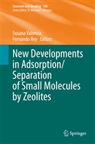 REY, Rey, Fernando Rey, Susan Valencia, Susana Valencia - New Developments in Adsorption/Separation of Small Molecules by Zeolites
