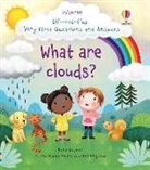 Katie Daynes, Katie Daynes Daynes, Marta Alvarez Miguens, Marta Alvarez Miguens - Very First Questions and Answers What Are Clouds?