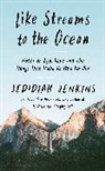 Jedidiah Jenkins - Like Streams to the Ocean