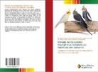 Thatijanne Santos Gonzaga de Carvalho, Carlos Eduardo Do Prado Saad, Márcio Gilberto Zangeronimo - Manejo de Calopsitas (Nymphicus hollandicus) mantidas em cativeiro