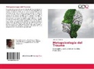 José Luis Cáceres - Metapsicología del Trauma