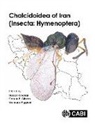 Dr Hassan (Islamic Azad University Ghahari, Hassan Ghahari, Dr Gary (Agriculture and Agri-Food Canada) Gibson, Gary Gibson, Dr Gennaro (University of Naples Viggiani, Gennaro Viggiani - Chalcidoidea of Iran (Insecta: Hymenoptera)