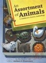 Doreen Buchinski, Heather Kelly, Kristen Wixted - An Assortment of Animals