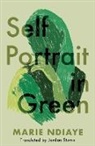 Marie Ndiaye - Self Portrait in Green