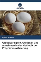 Apollo Nkwake - Glaubwürdigkeit, Gültigkeit und Annahmen in der Methodik der Programmevaluierung