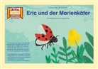Annette Huber, Nina Meischen, Nina Meischen - Eric und der Marienkäfer / Kamishibai Bildkarten
