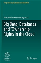 Marcelo Corrales Compagnucci - Big Data, Databases and "Ownership" Rights in the Cloud