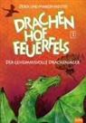 Derek Meister, Mario Meister, Marion Meister - Drachenhof Feuerfels - Band 1