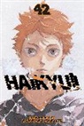 Haruichi Furudate, Haruichi Furudate - Haikyu! 42