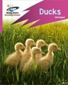 Gill Budgell, Abigail Steel - Reading Planet: Rocket Phonics – Target Practice – Ducks – Pink B