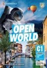 Anthony Cosgrove, Anthony Wijayatilake Cosgrove, Claire Wijayatilake - Open World Advanced Student's Book Without Answers