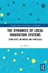 Eva Panetti - Dynamics of Local Innovation Systems