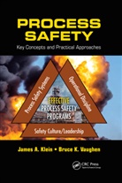 James A Klein, James A. Klein, James A. (Consultant Klein, James A. Vaughen Klein, Klein James A., Bruce K Vaughen... - Process Safety