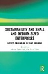 Aharon Ulhi Factor, Aharon Ulhoi Factor, Aharon Factor, Factor Aharon, John Parm Ulhøi - Sustainability and Small and Medium-Sized Enterprises