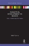 Walid Tijerina - Industrial Development in Mexico