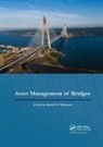 Khaled Mahmoud, Khaled M Mahmoud, Khaled M Mahmoud, Khaled M. Mahmoud - Asset Management of Bridges
