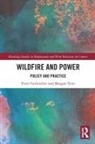 Peter Fairbrother, Peter (Cardiff University) Tyler Fairbrother, Peter (Rmit University Fairbrother, Peter Tyler Fairbrother, Meagan Tyler - Wildfire and Power