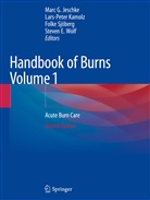 Marc G. Jeschke, Lars-Pete Kamolz, Lars-Peter Kamolz, Folke Sjöberg, Folke Sjöberg et al, Steven E. Wolf - Handbook of Burns Volume 1