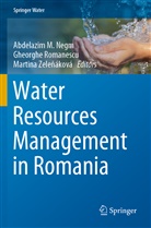 Abdelazim M Negm, Abdelazim M. Negm, Gheorgh Romanescu, Gheorghe Romanescu, Martina Zele¿áková, Martina Zeleáková... - Water Resources Management in Romania